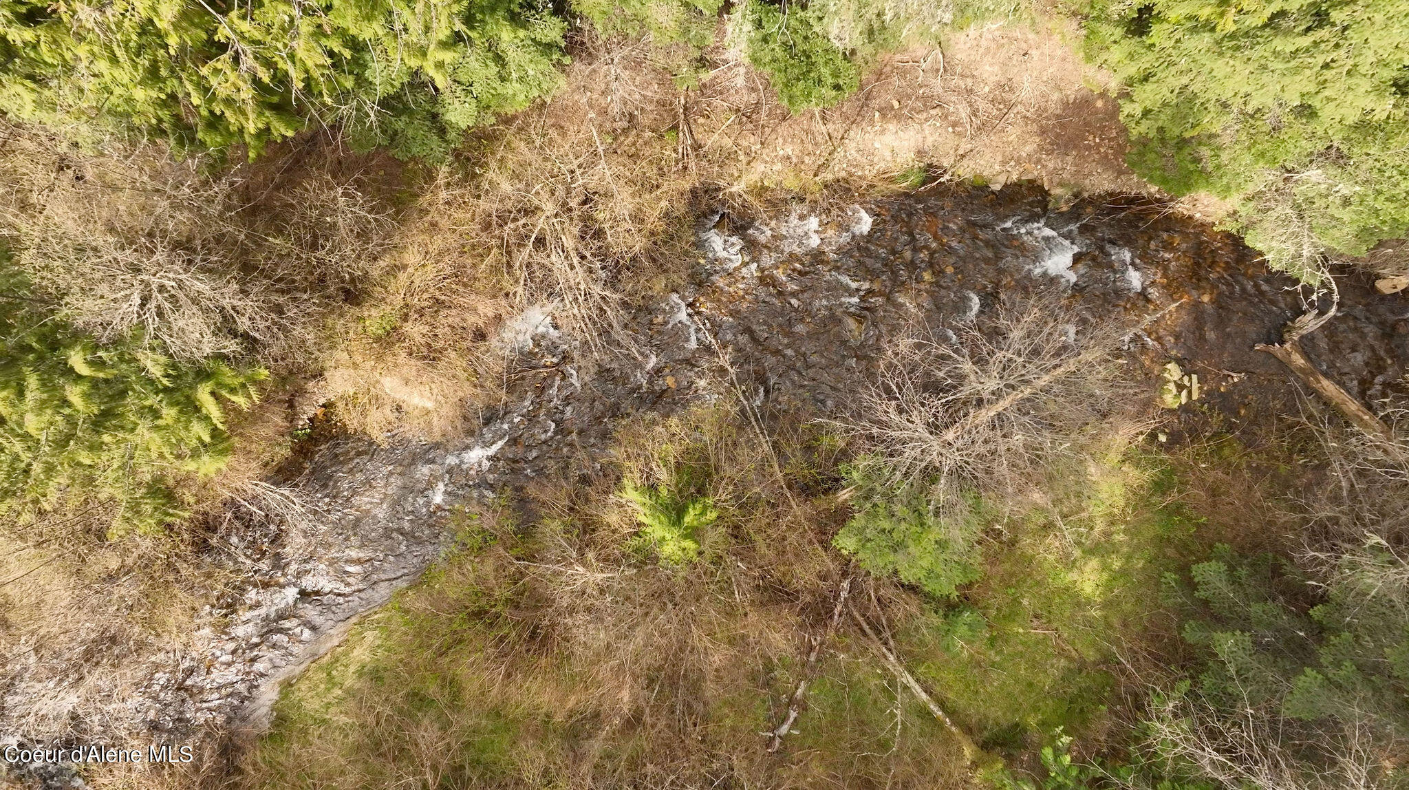 NKA Evans Creek, Medimont, Idaho image 5