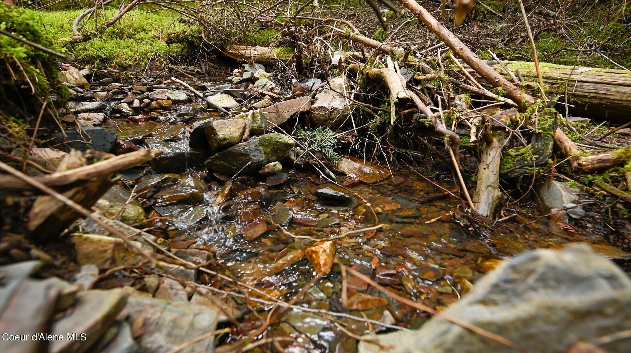 NKA Evans Creek, Medimont, Idaho image 6