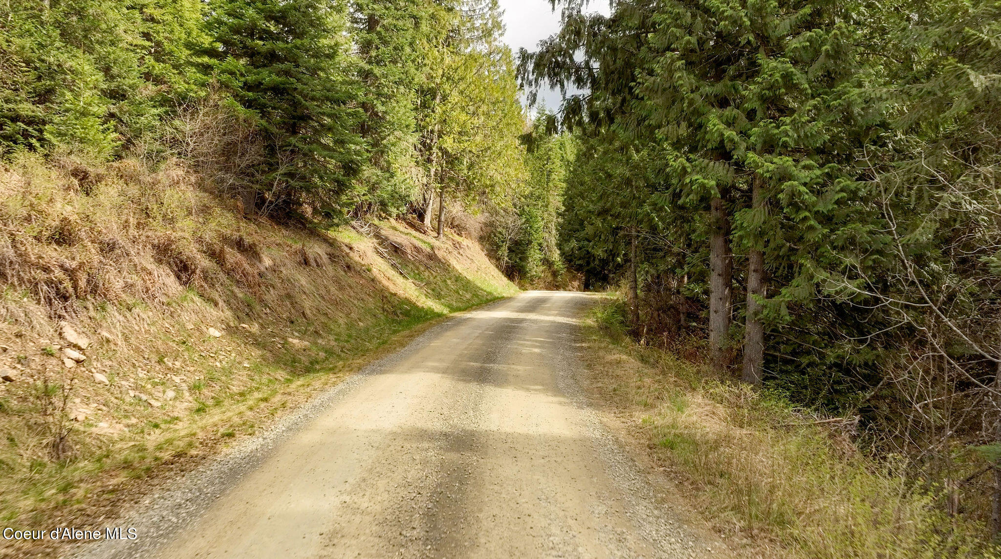 NKA Evans Creek, Medimont, Idaho image 3