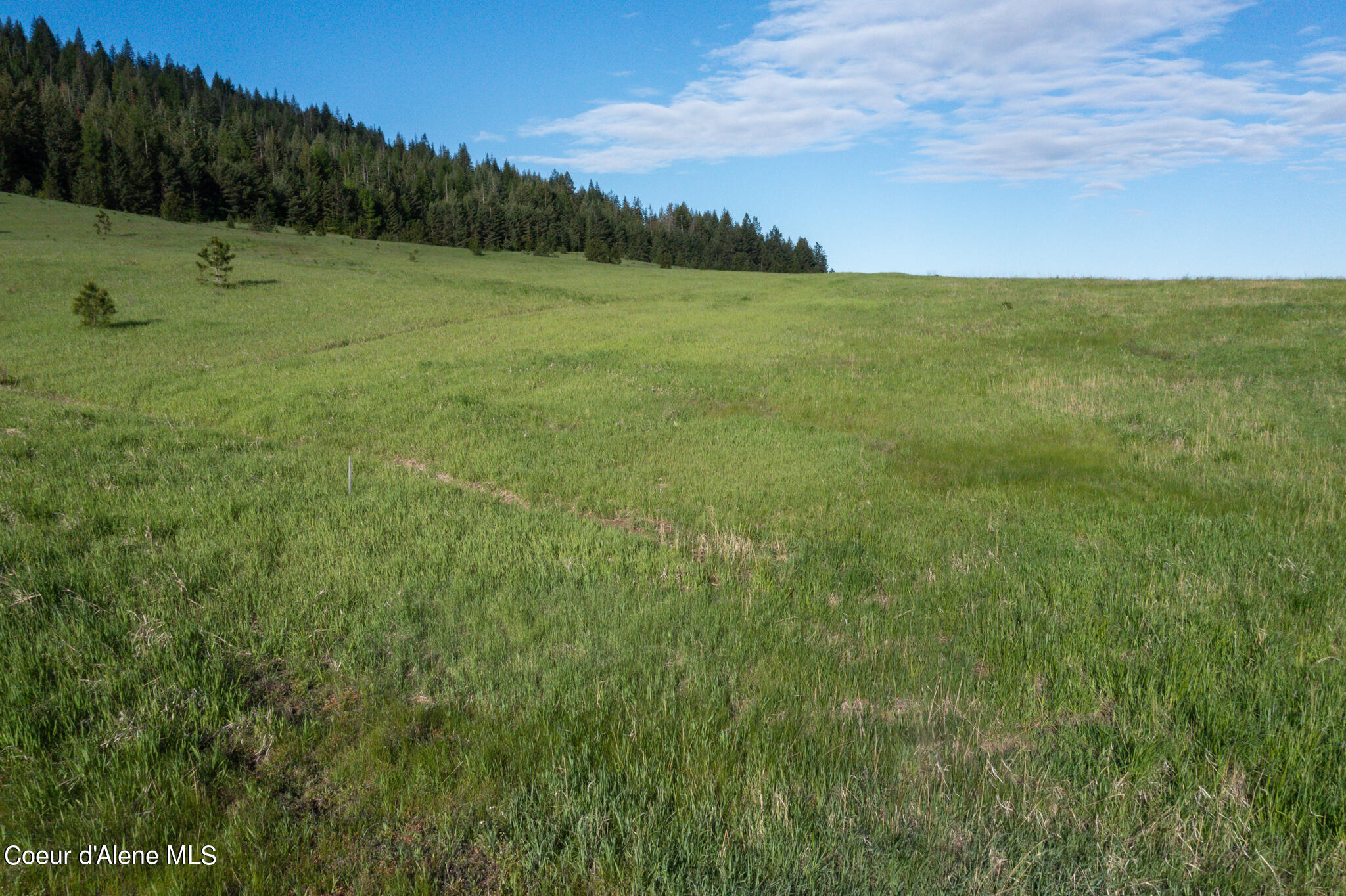 Lot C & D Merideth Rd, Plummer, Idaho image 17