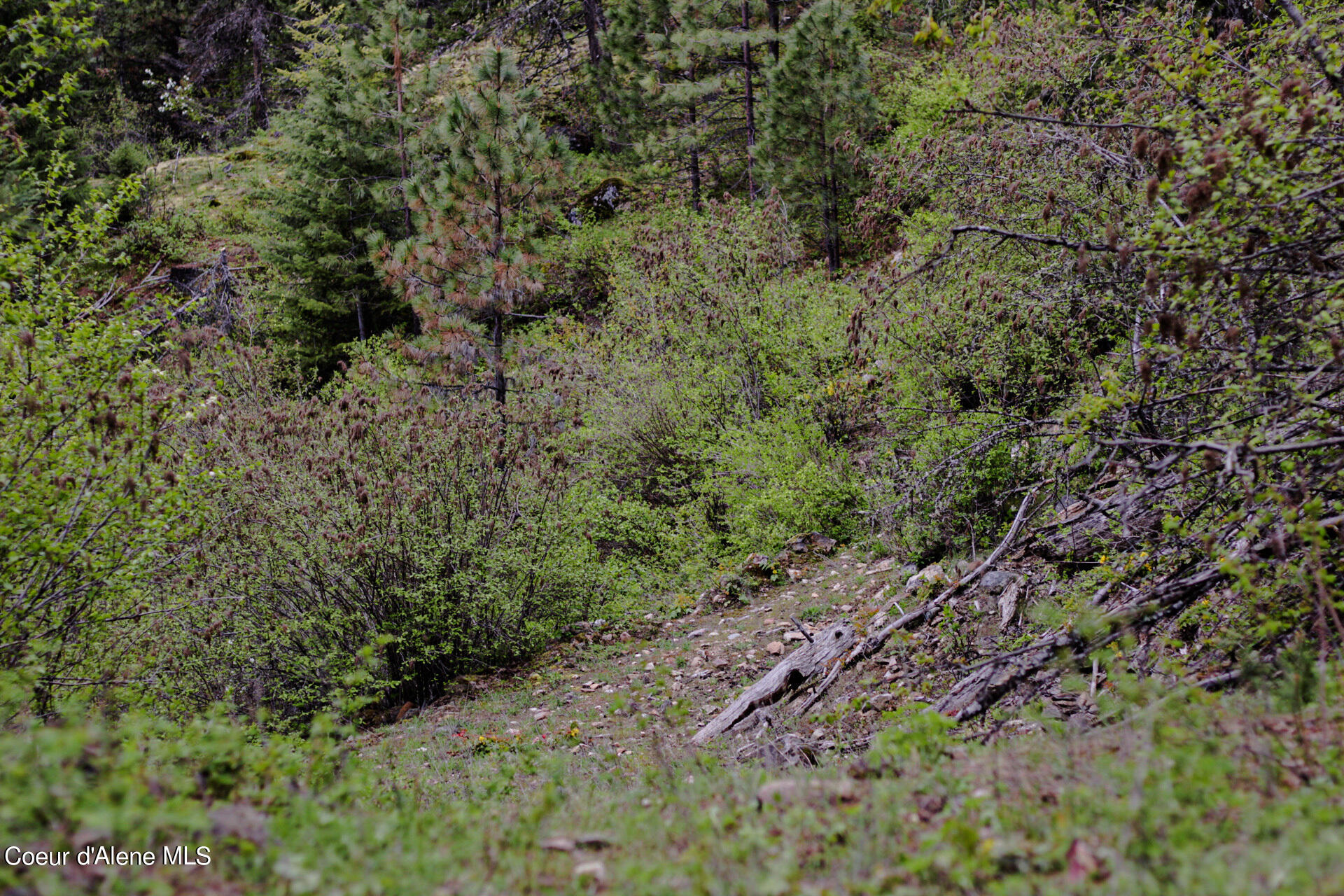 NKA Bailey Road, Sandpoint, Idaho image 8