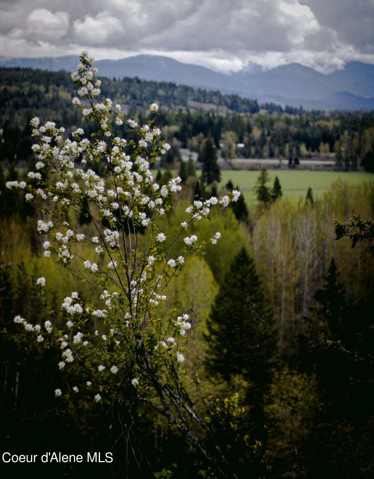 NKA Bailey Road, Sandpoint, Idaho image 15