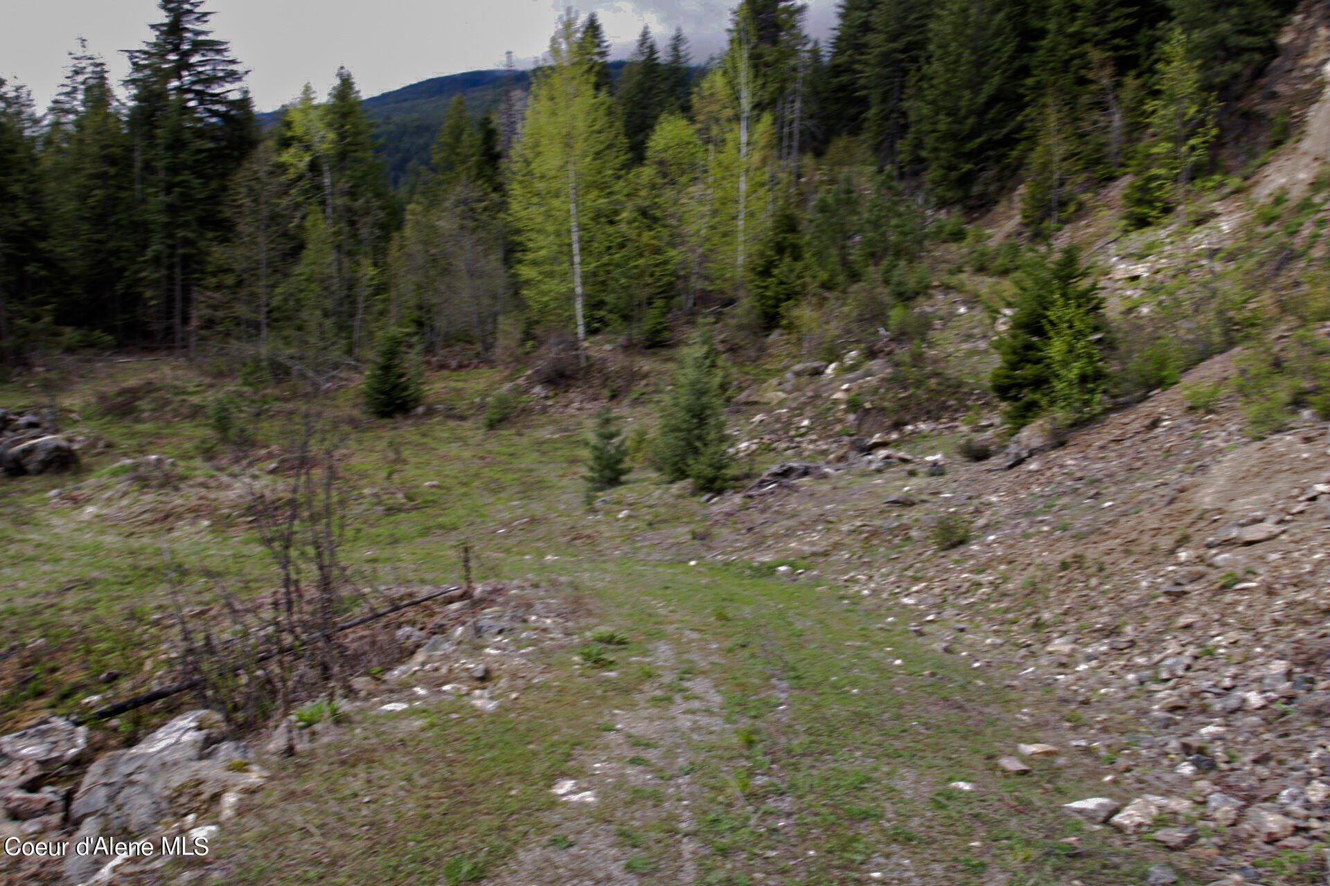 NKA Bailey Road, Sandpoint, Idaho image 10