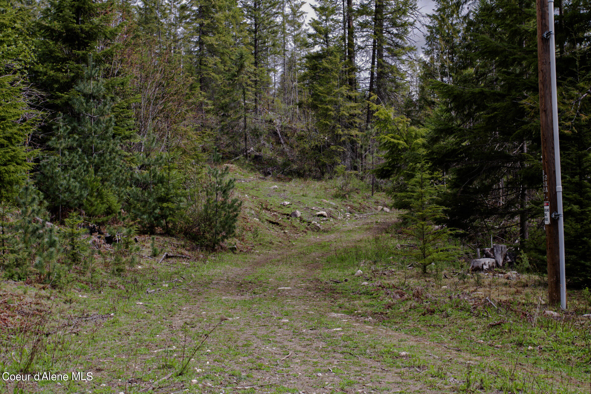 NKA Bailey Road, Sandpoint, Idaho image 6