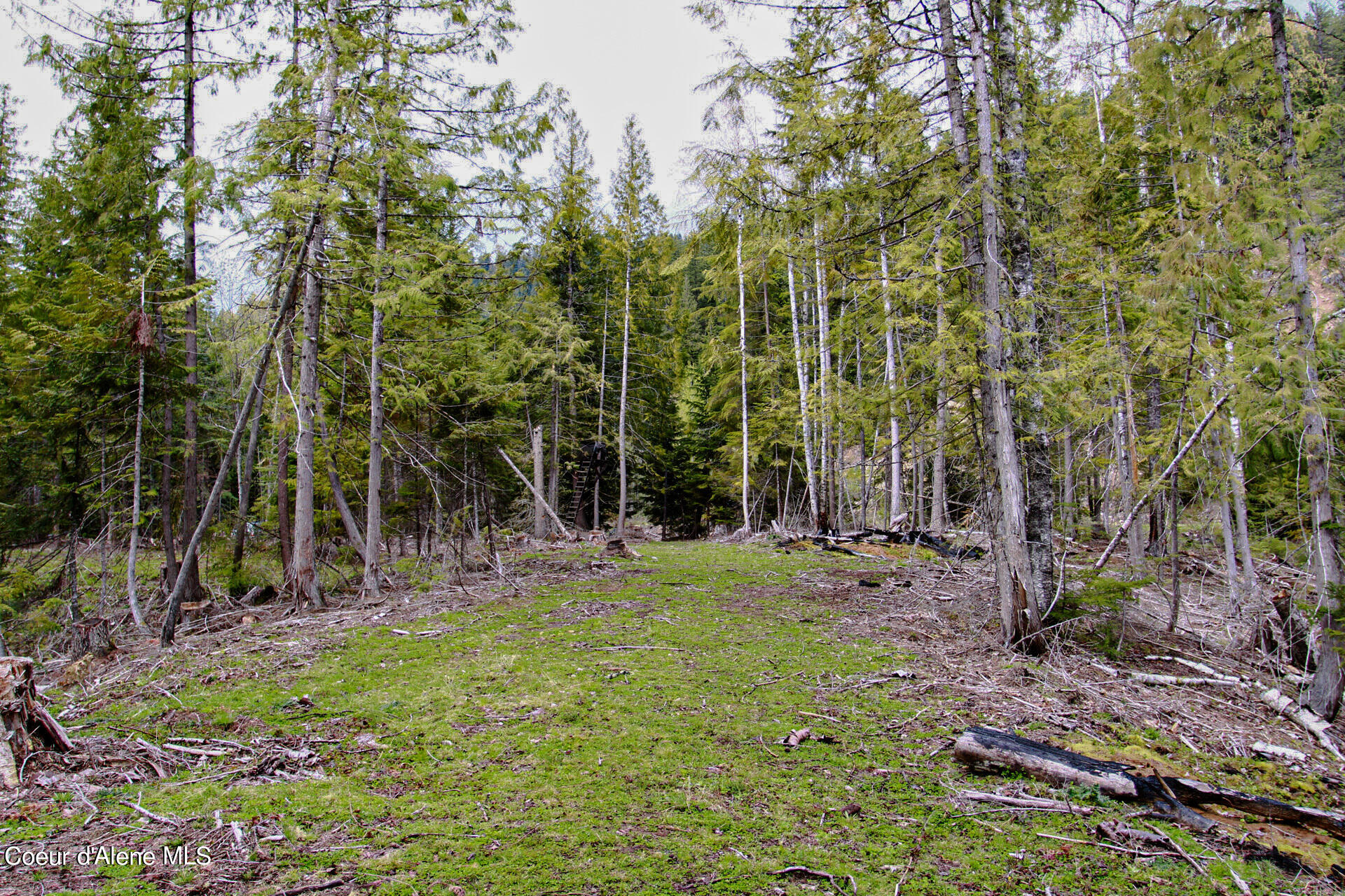 NKA Bailey Road, Sandpoint, Idaho image 3