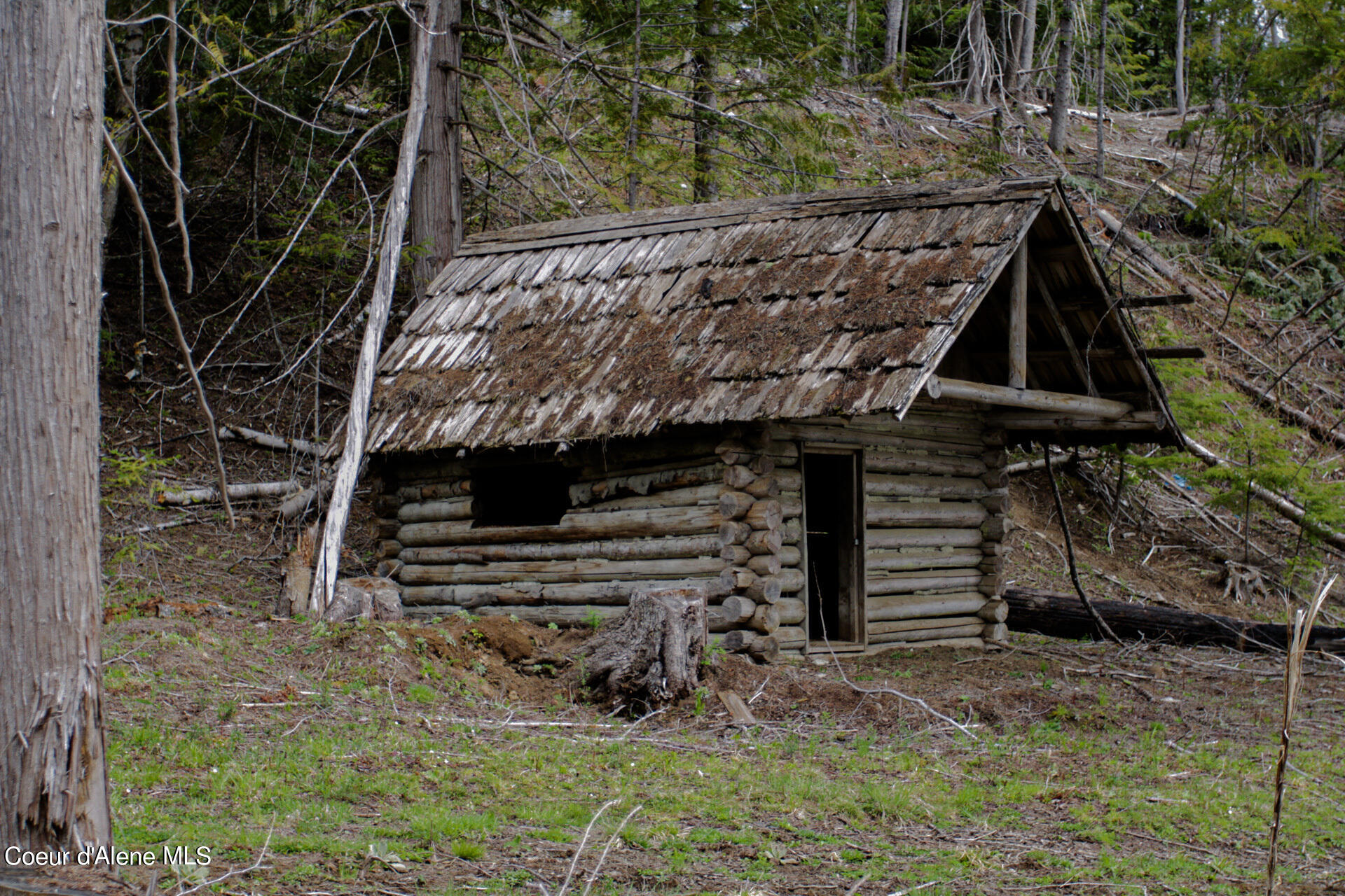 NKA Bailey Road, Sandpoint, Idaho image 12