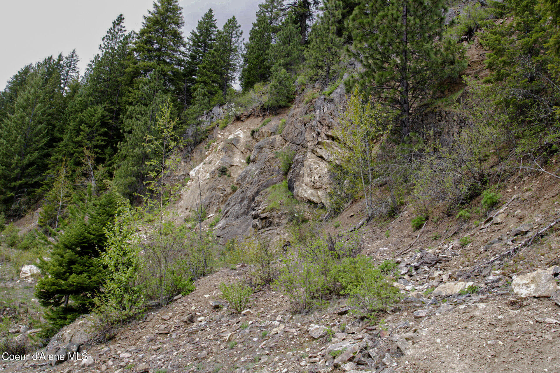 NKA Bailey Road, Sandpoint, Idaho image 11