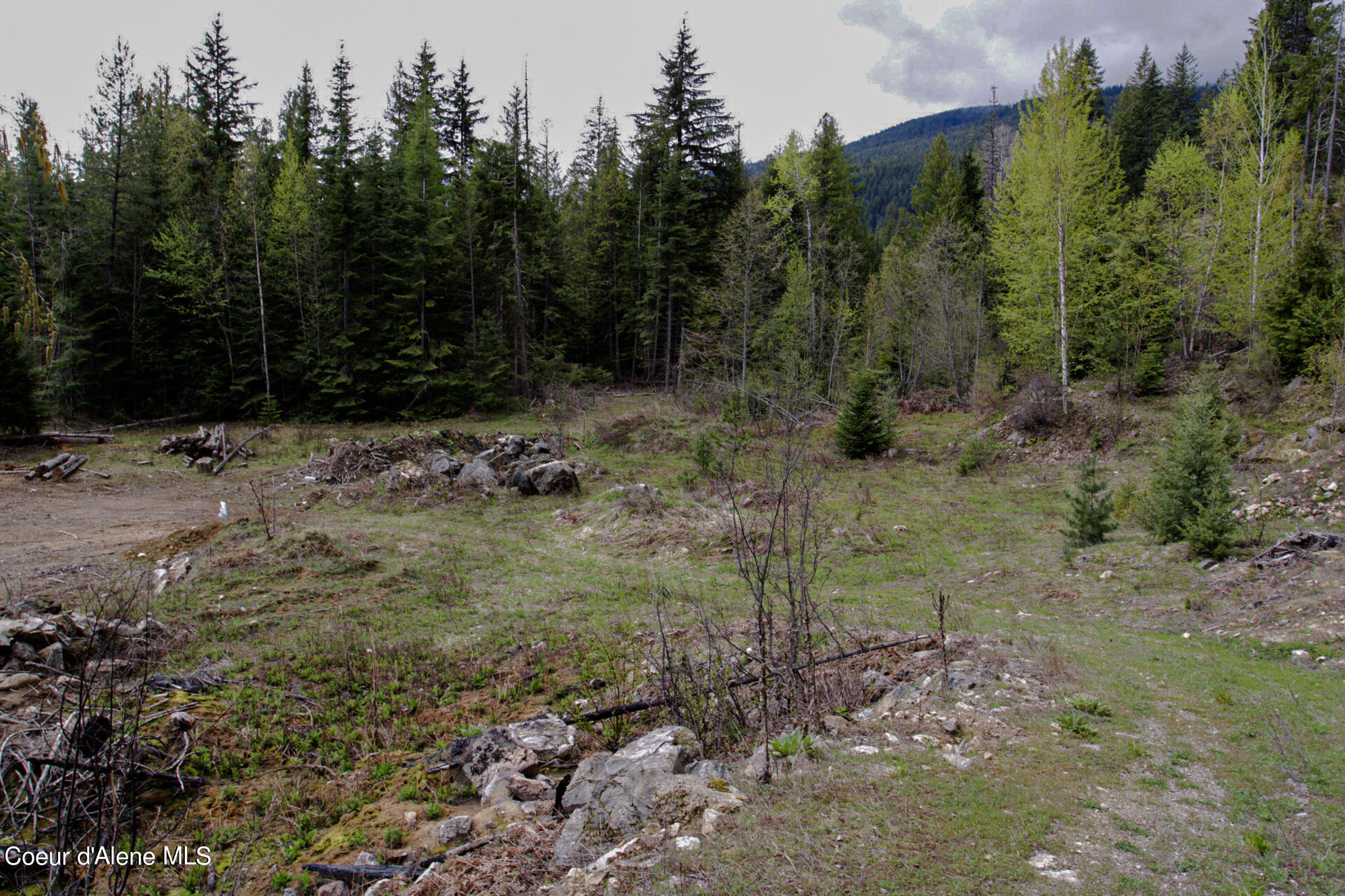 NKA Bailey Road, Sandpoint, Idaho image 9