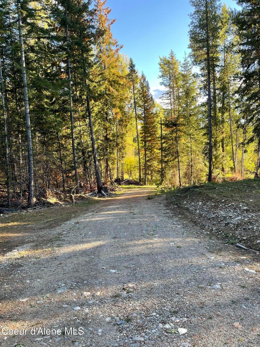 Photo of NNA Red Alder Drive Drive, Careywood, ID 83809 (MLS # 25-10326)