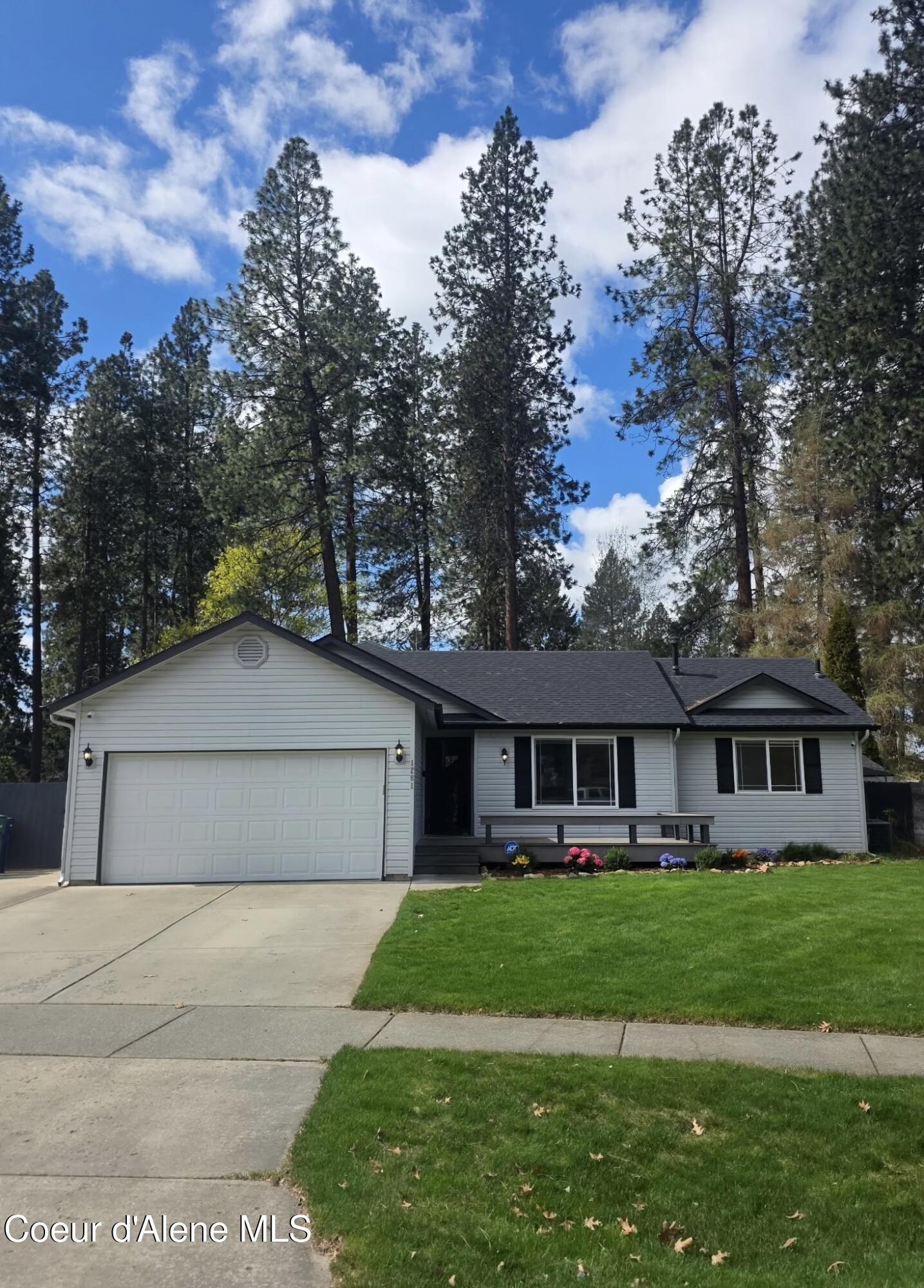 1281 Elderberry