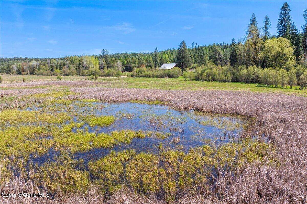 4610 Kelso Lake, Athol, Alaska image 30