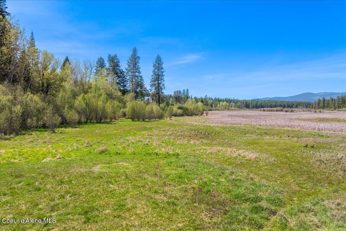 4610 Kelso Lake, Athol, Alaska image 29