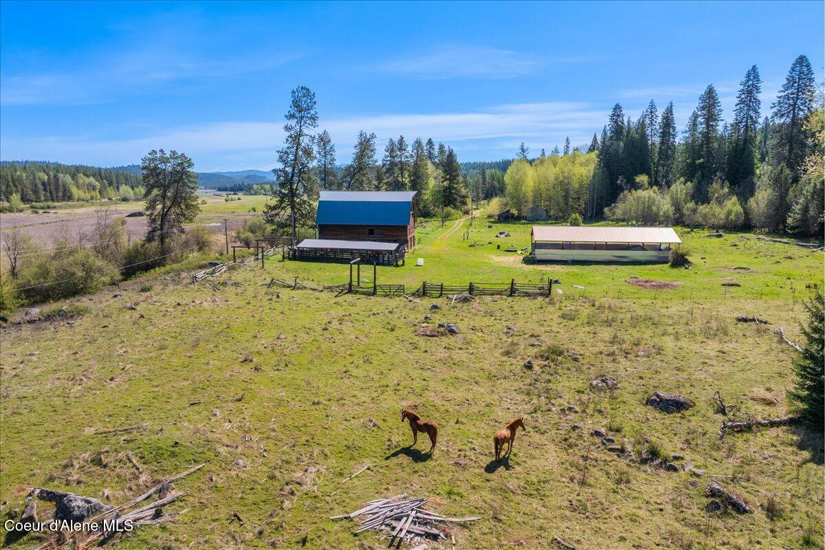 4610 Kelso Lake, Athol, Alaska image 7