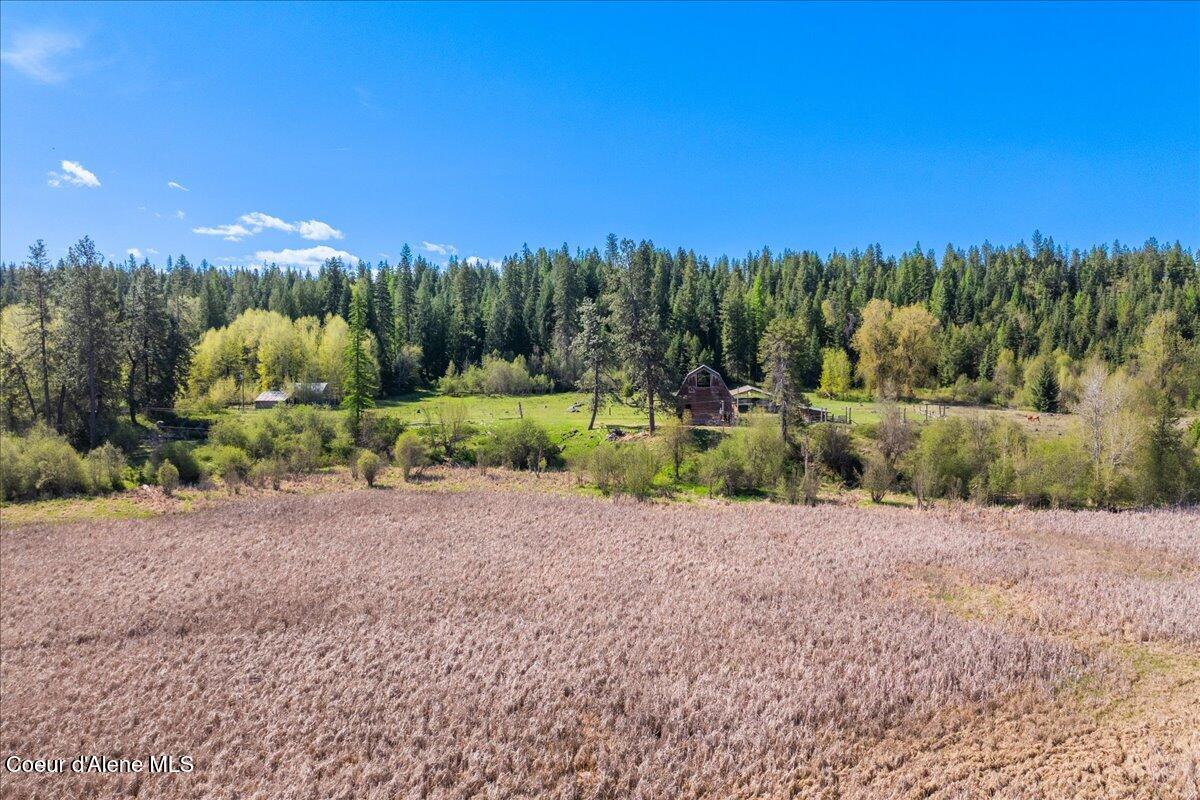 4610 Kelso Lake, Athol, Alaska image 15