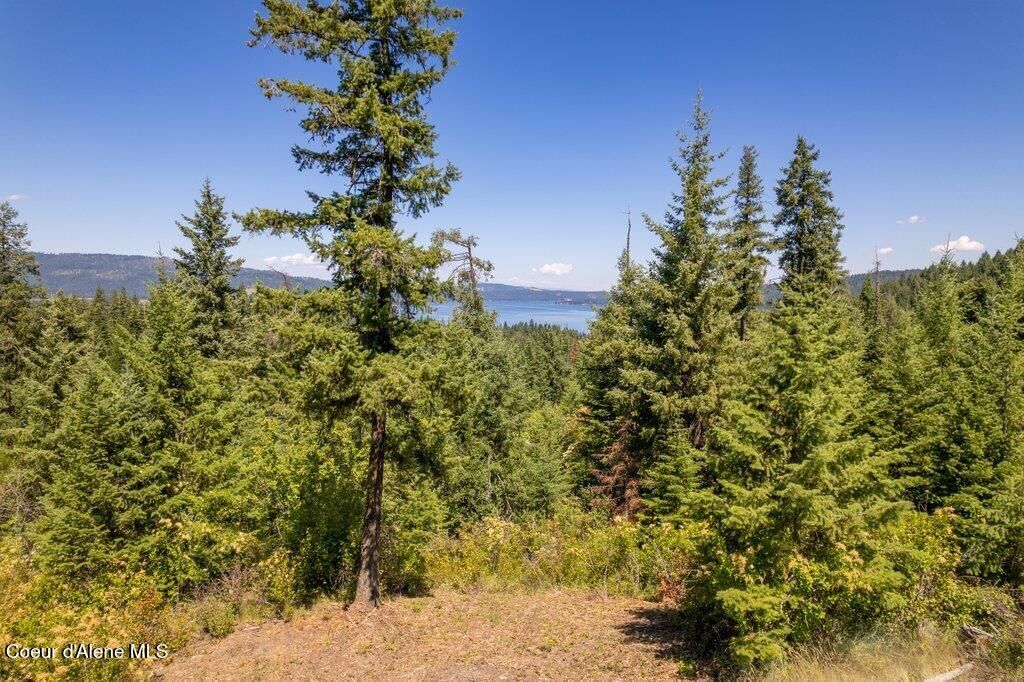 Photo of NKA Highway 97, Harrison, ID 83833 (MLS # 26-3726)