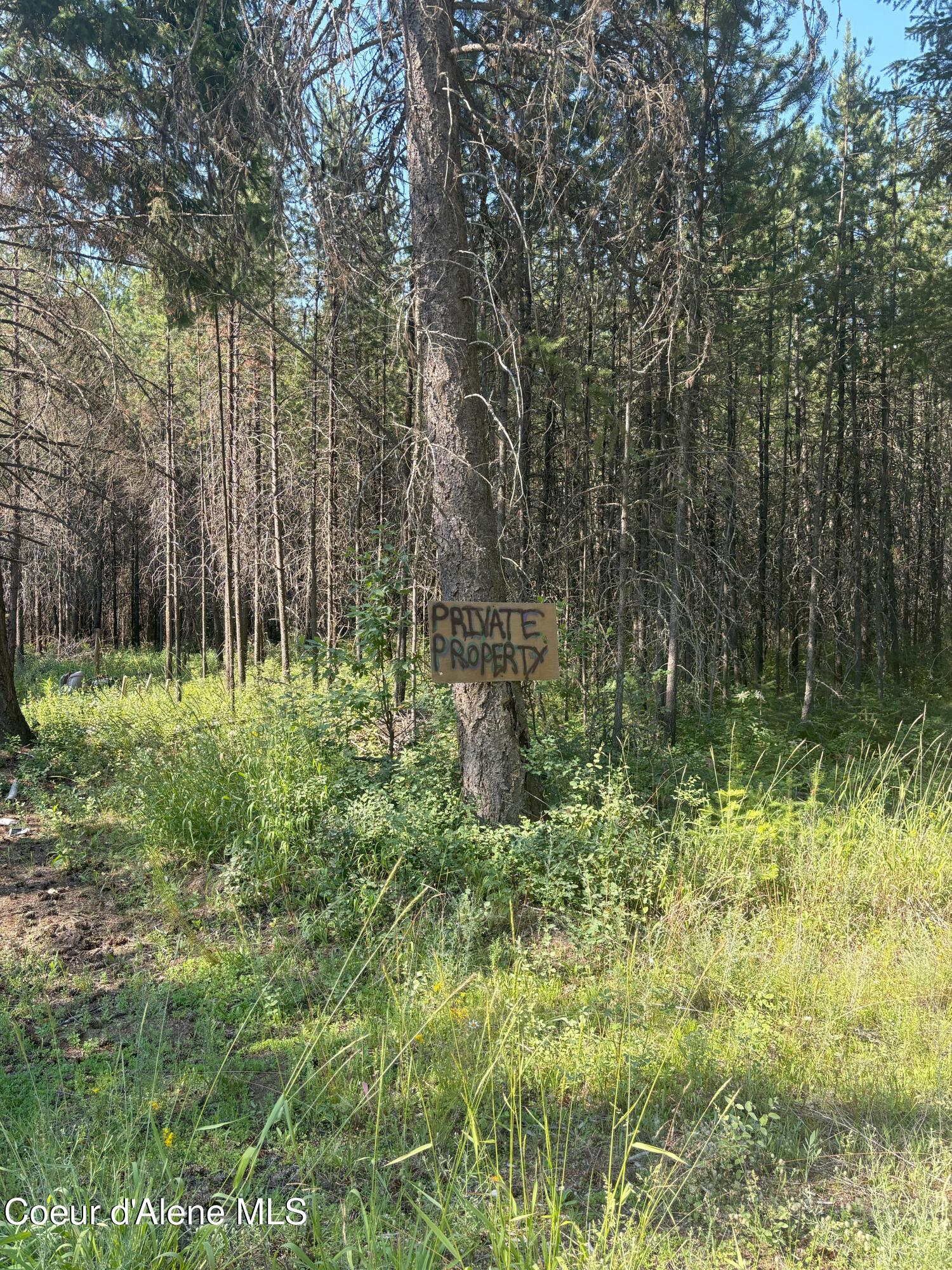 NNA Spirit Lake Cutoff Rd., Spirit Lake, Texas image 4