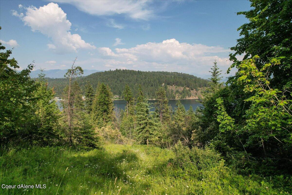 699 Midas Dr, Sagle, Alaska image 17
