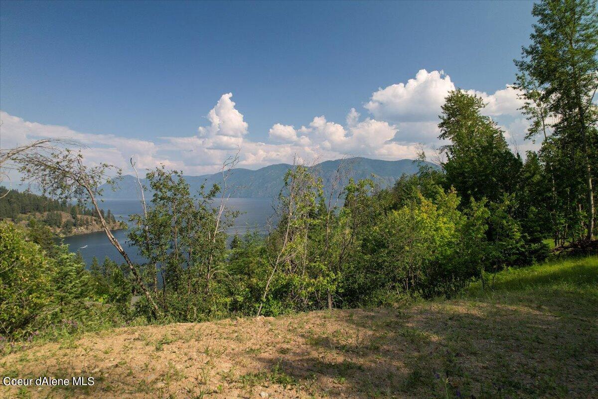 699 Midas Dr, Sagle, Alaska image 7