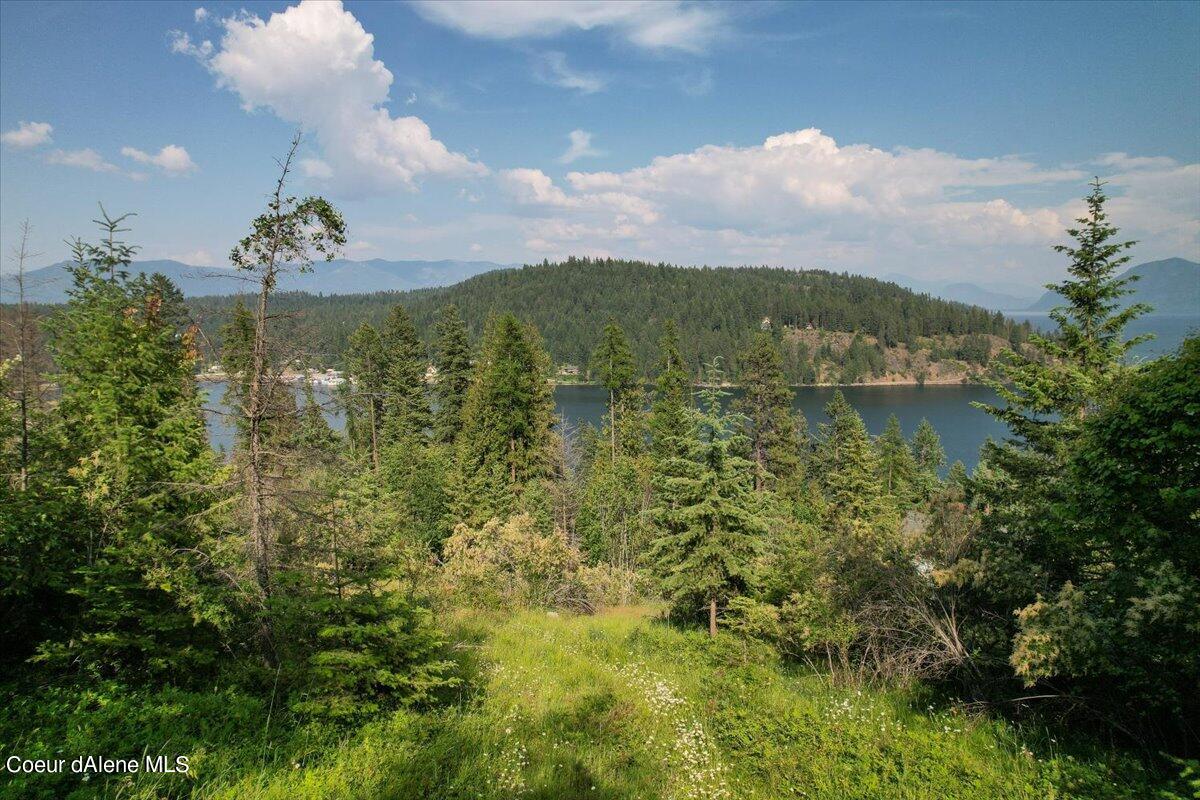 699 Midas Dr, Sagle, Alaska image 16