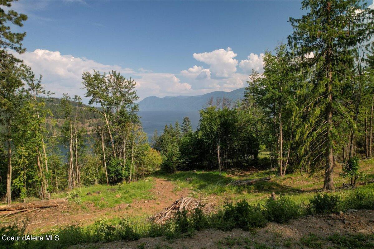 699 Midas Dr, Sagle, Alaska image 18