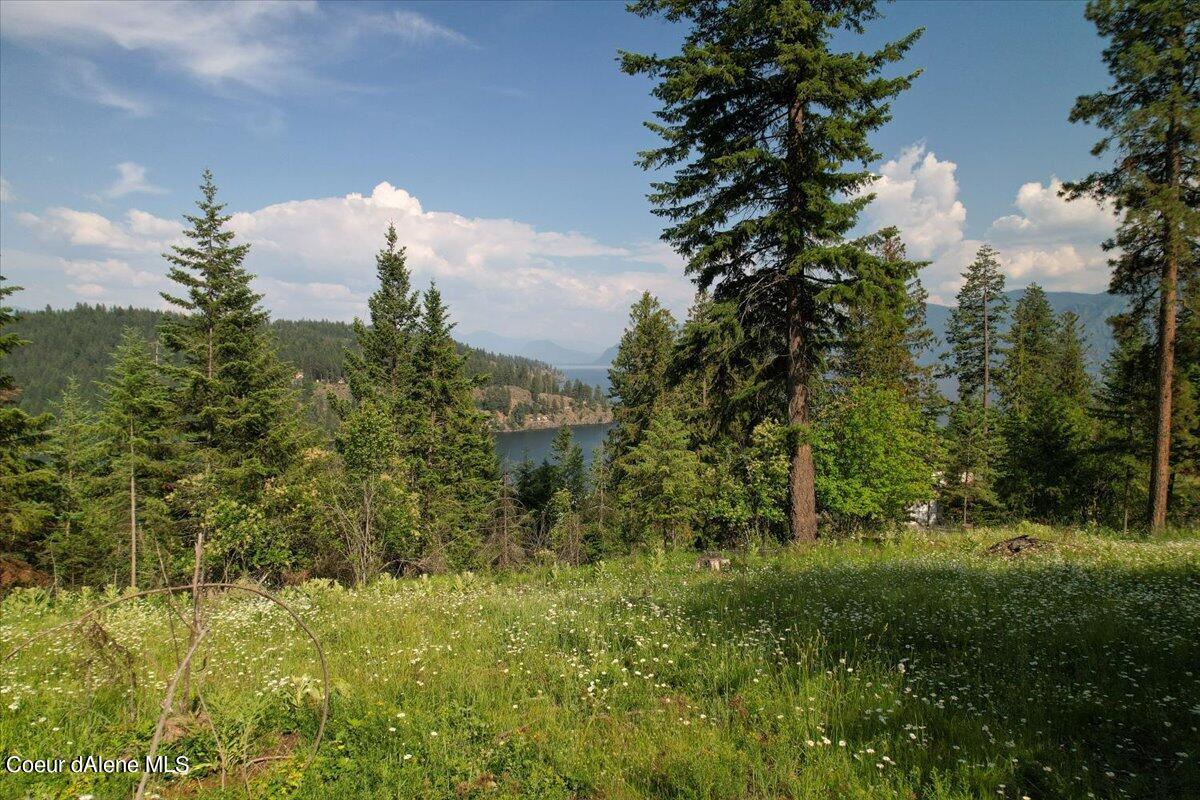 699 Midas Dr, Sagle, Alaska image 11