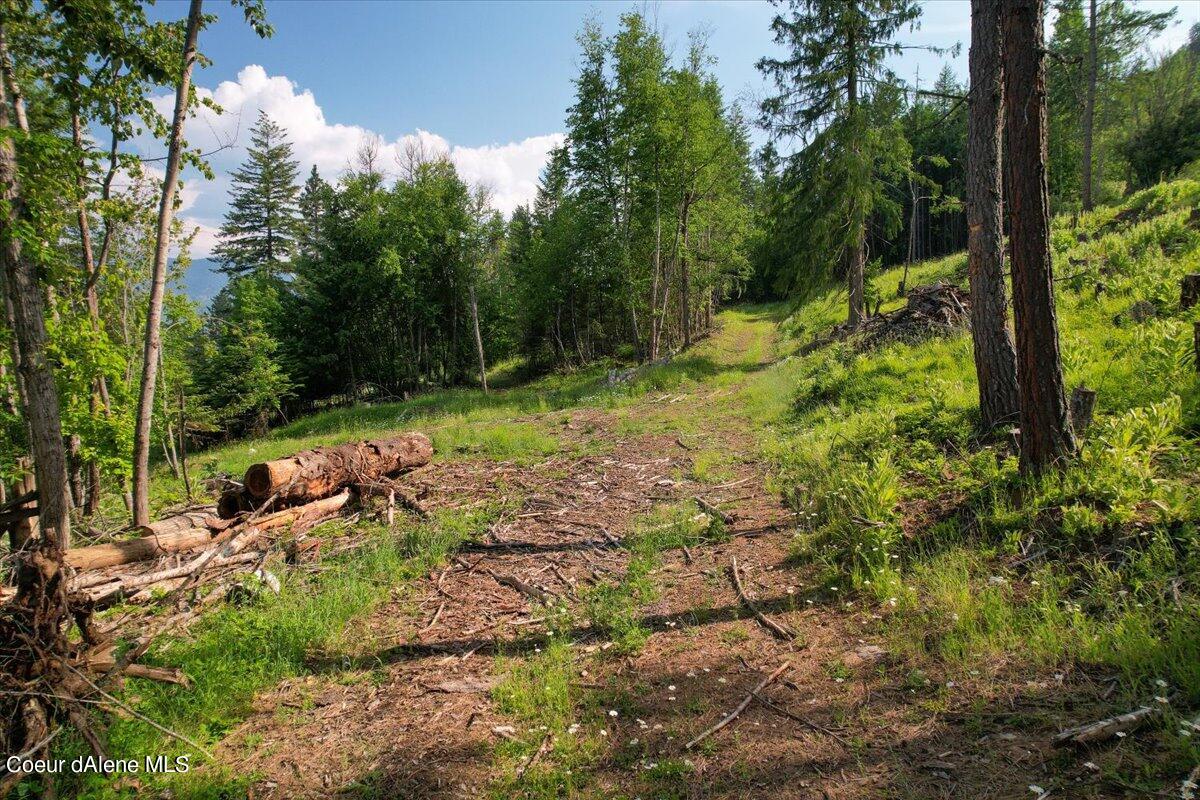 699 Midas Dr, Sagle, Alaska image 30
