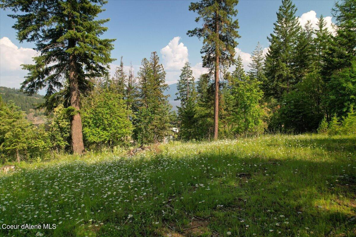 699 Midas Dr, Sagle, Alaska image 4