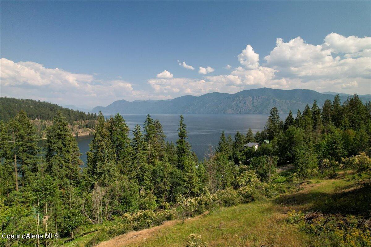 699 Midas Dr, Sagle, Alaska image 19