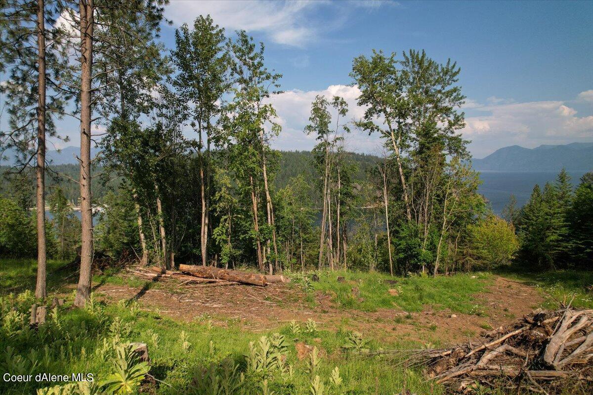 699 Midas Dr, Sagle, Alaska image 10