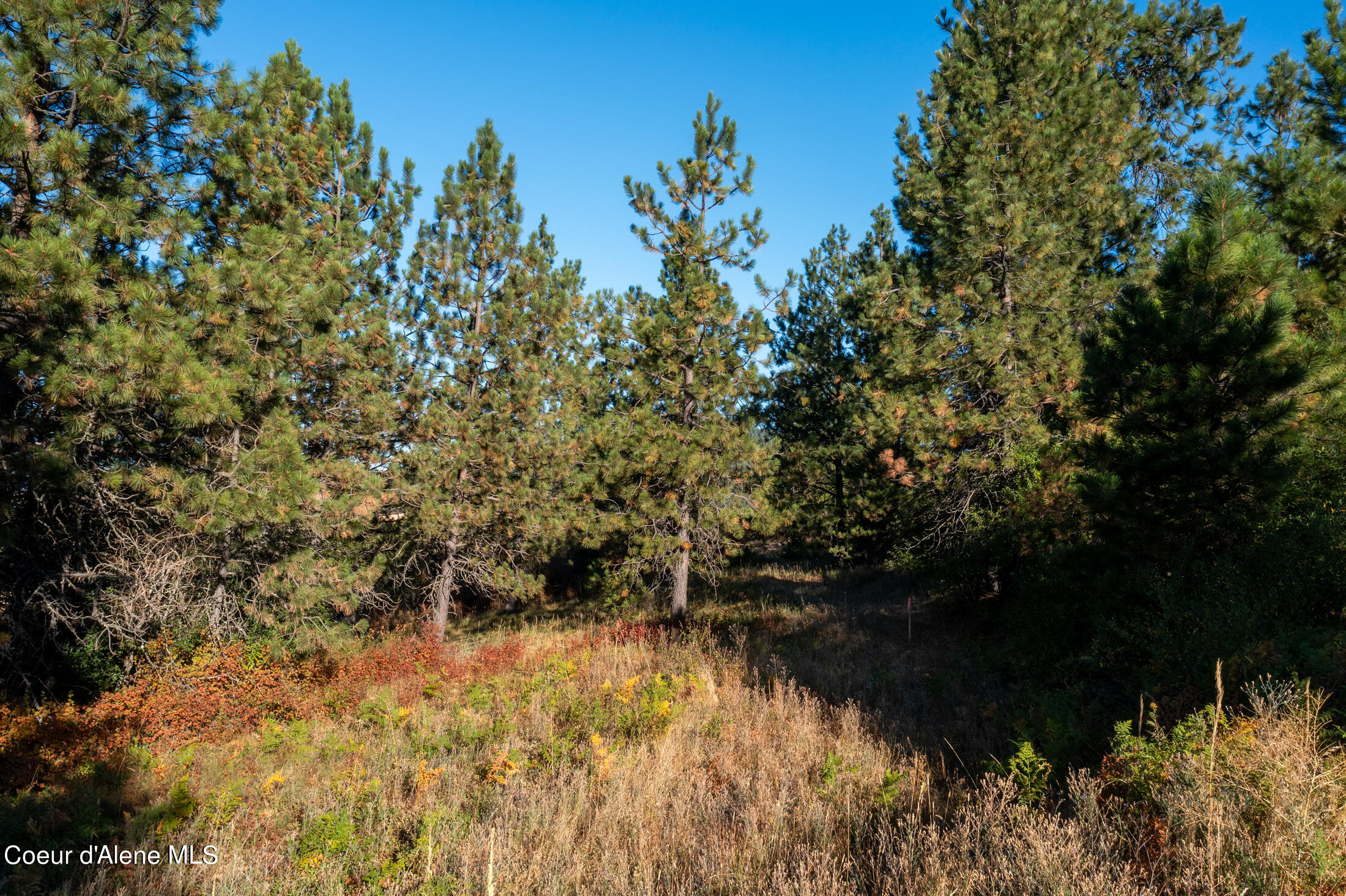 NNA Watt Hill Ln, Plummer, Idaho image 7