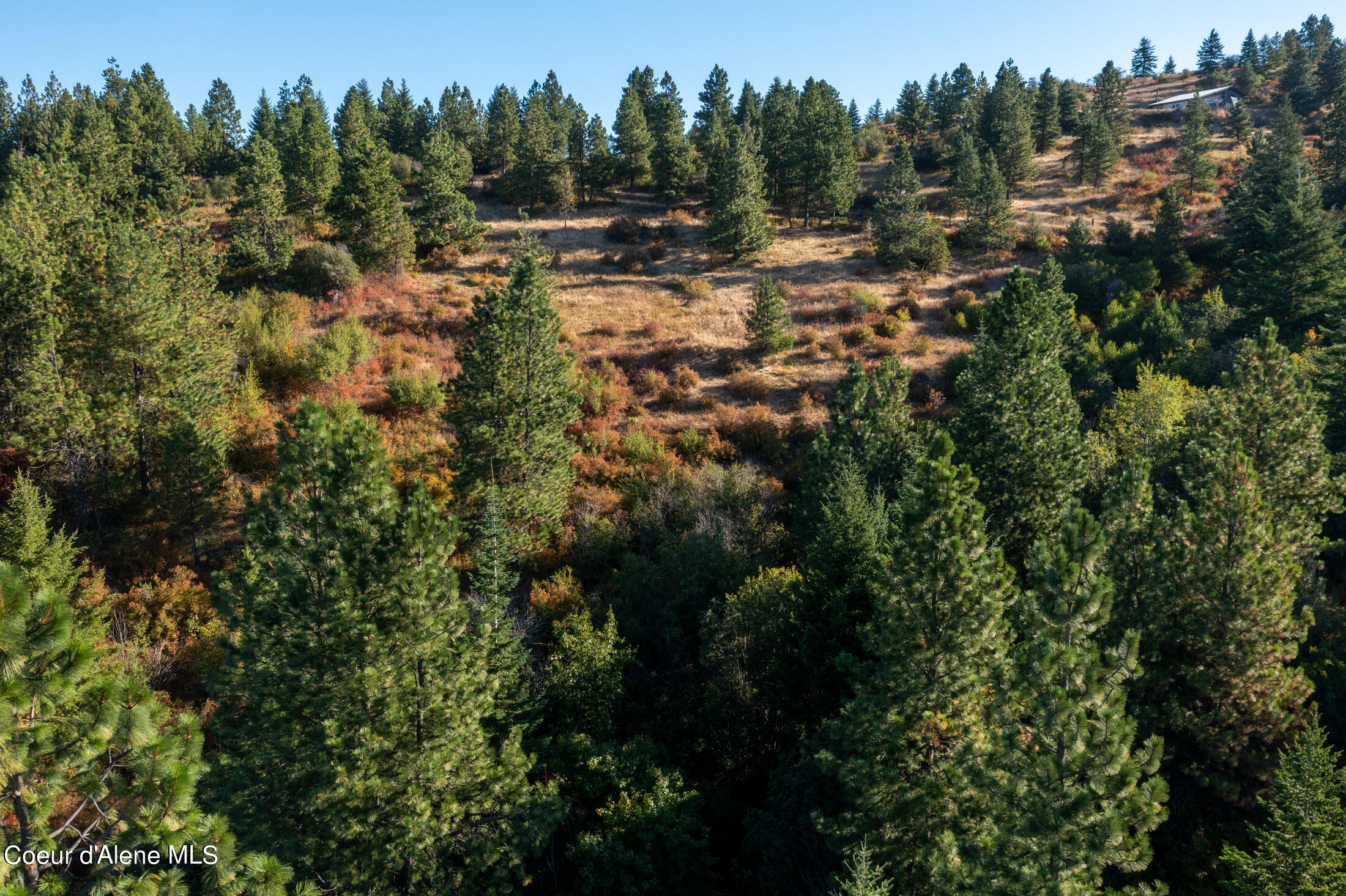 NNA Watt Hill Ln, Plummer, Idaho image 22