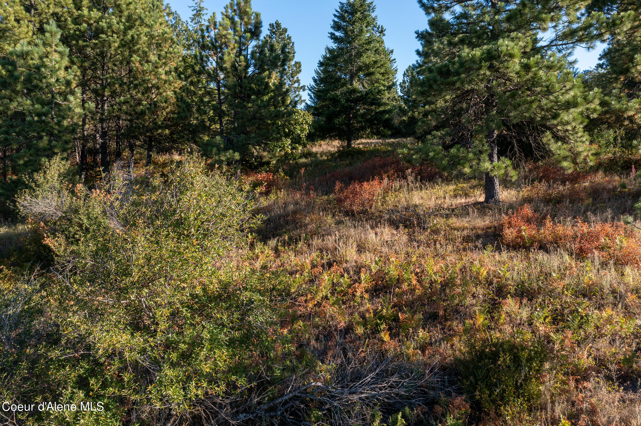 NNA Watt Hill Ln, Plummer, Idaho image 16