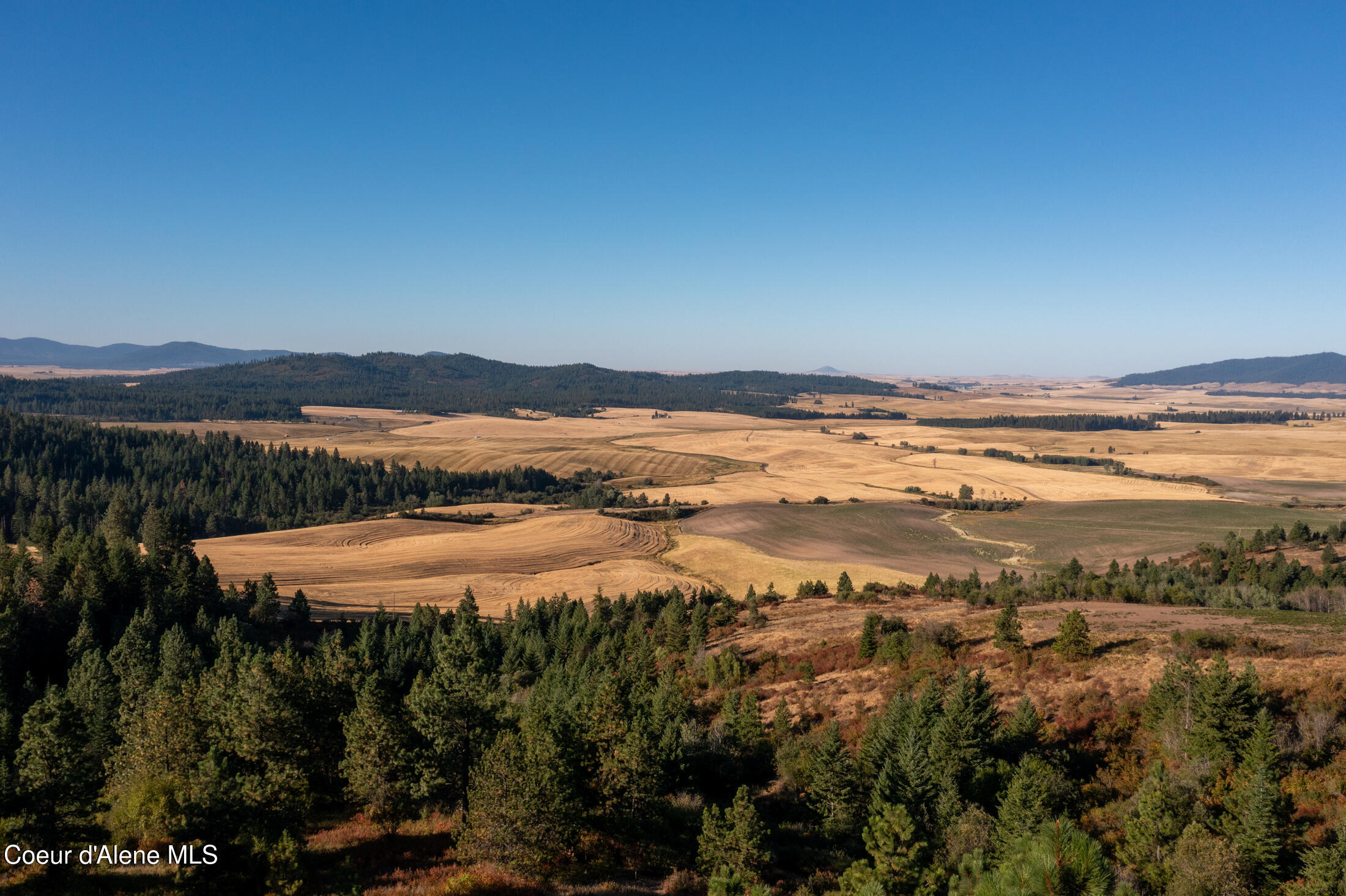 NNA Watt Hill Ln, Plummer, Idaho image 5