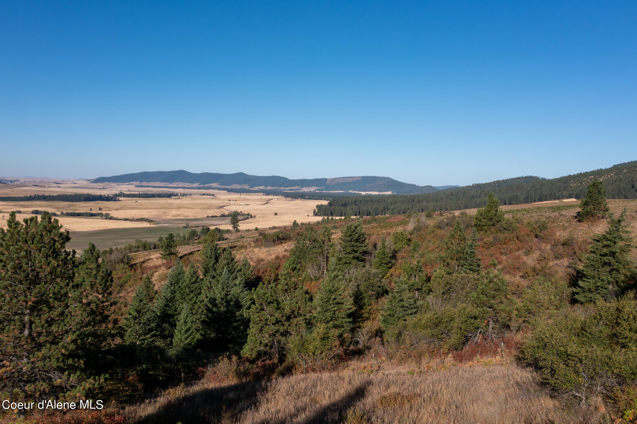 NNA Watt Hill Ln, Plummer, Idaho image 19