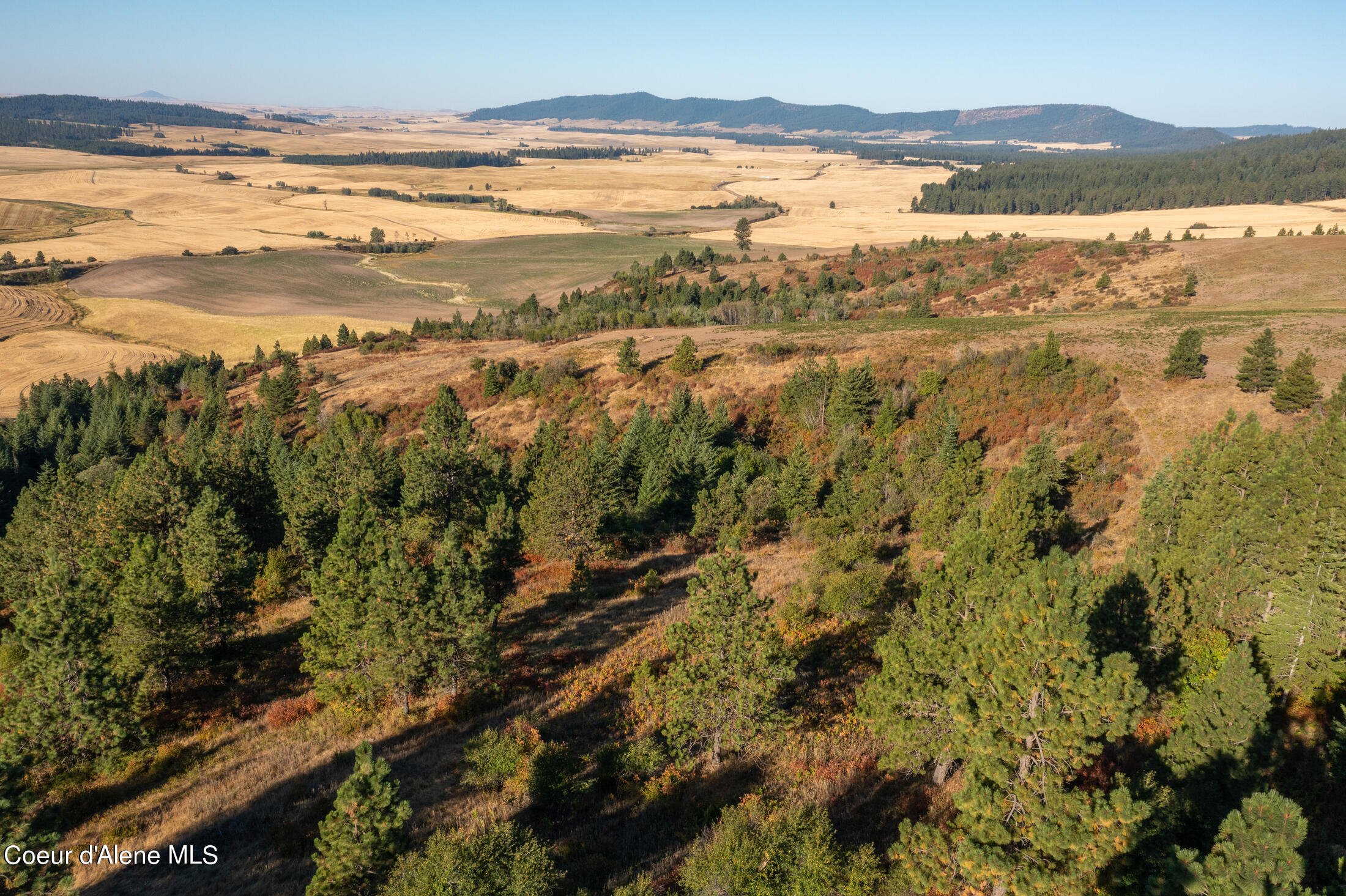 NNA Watt Hill Ln, Plummer, Idaho image 3