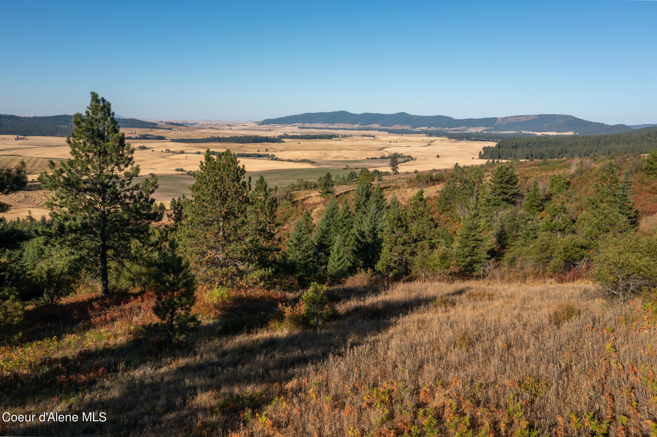 NNA Watt Hill Ln, Plummer, Idaho image 4