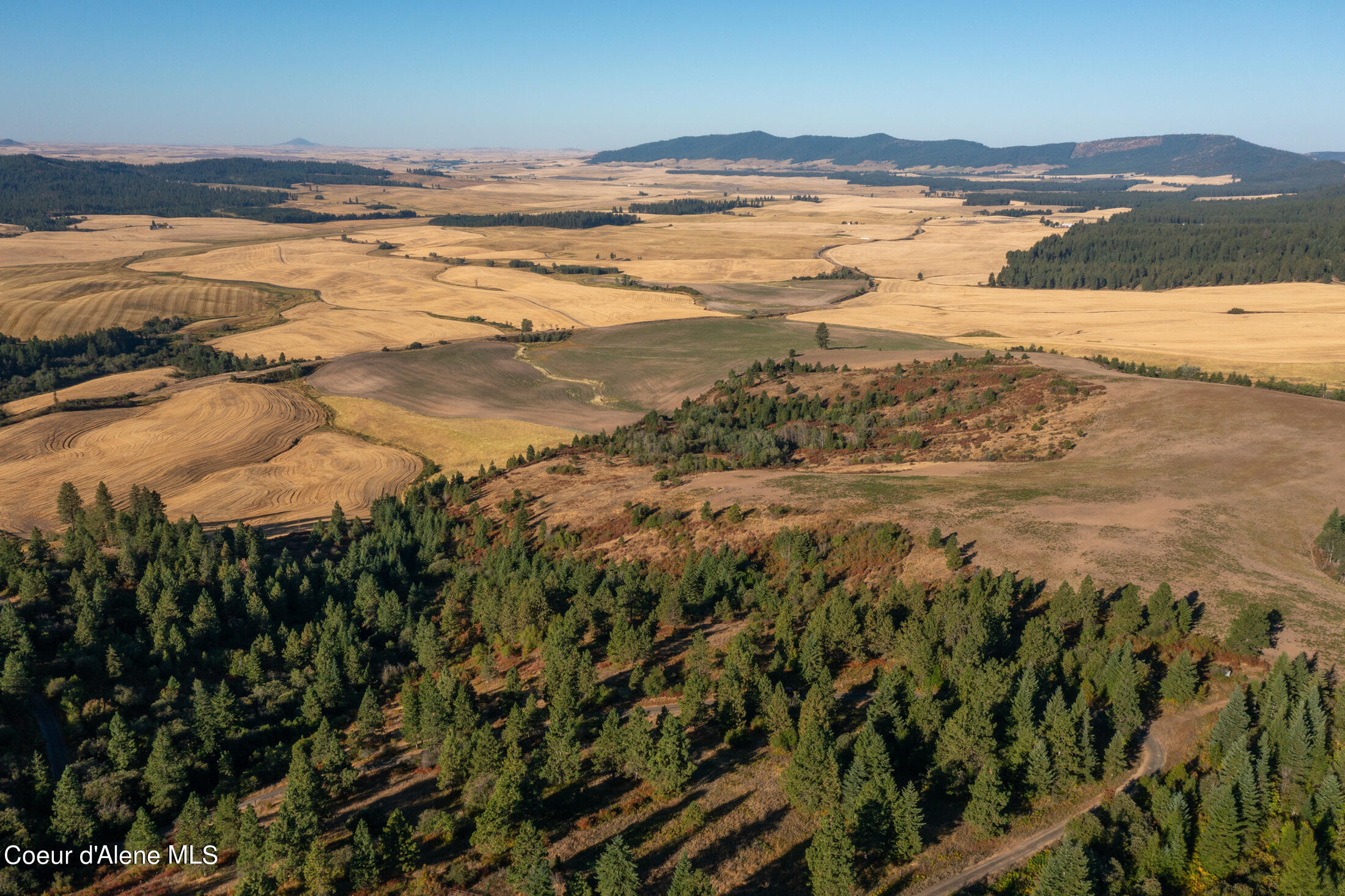 NNA Watt Hill Ln, Plummer, Idaho image 15