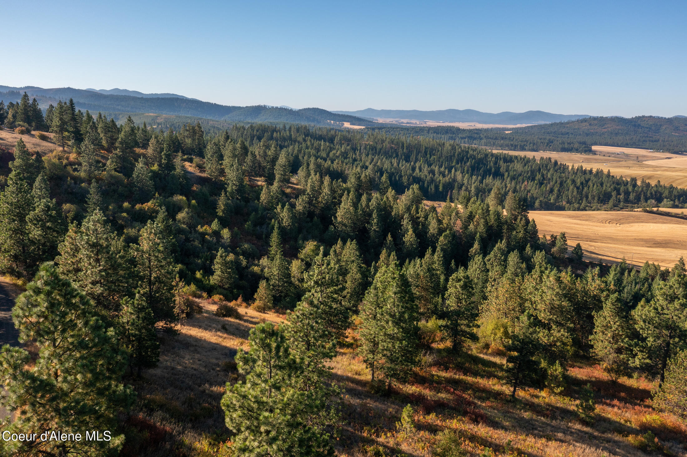 NNA Watt Hill Ln, Plummer, Idaho image 1