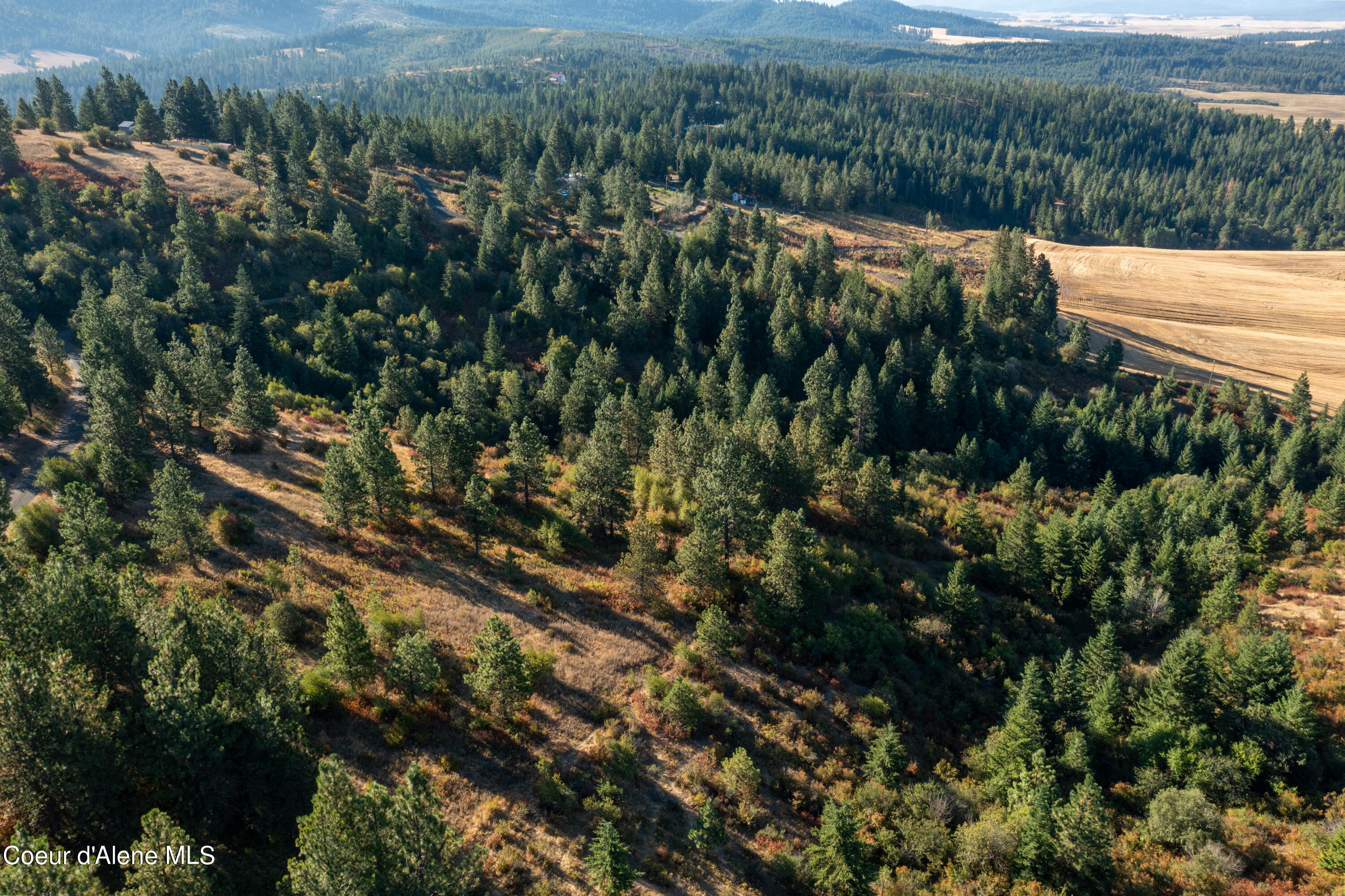 NNA Watt Hill Ln, Plummer, Idaho image 8