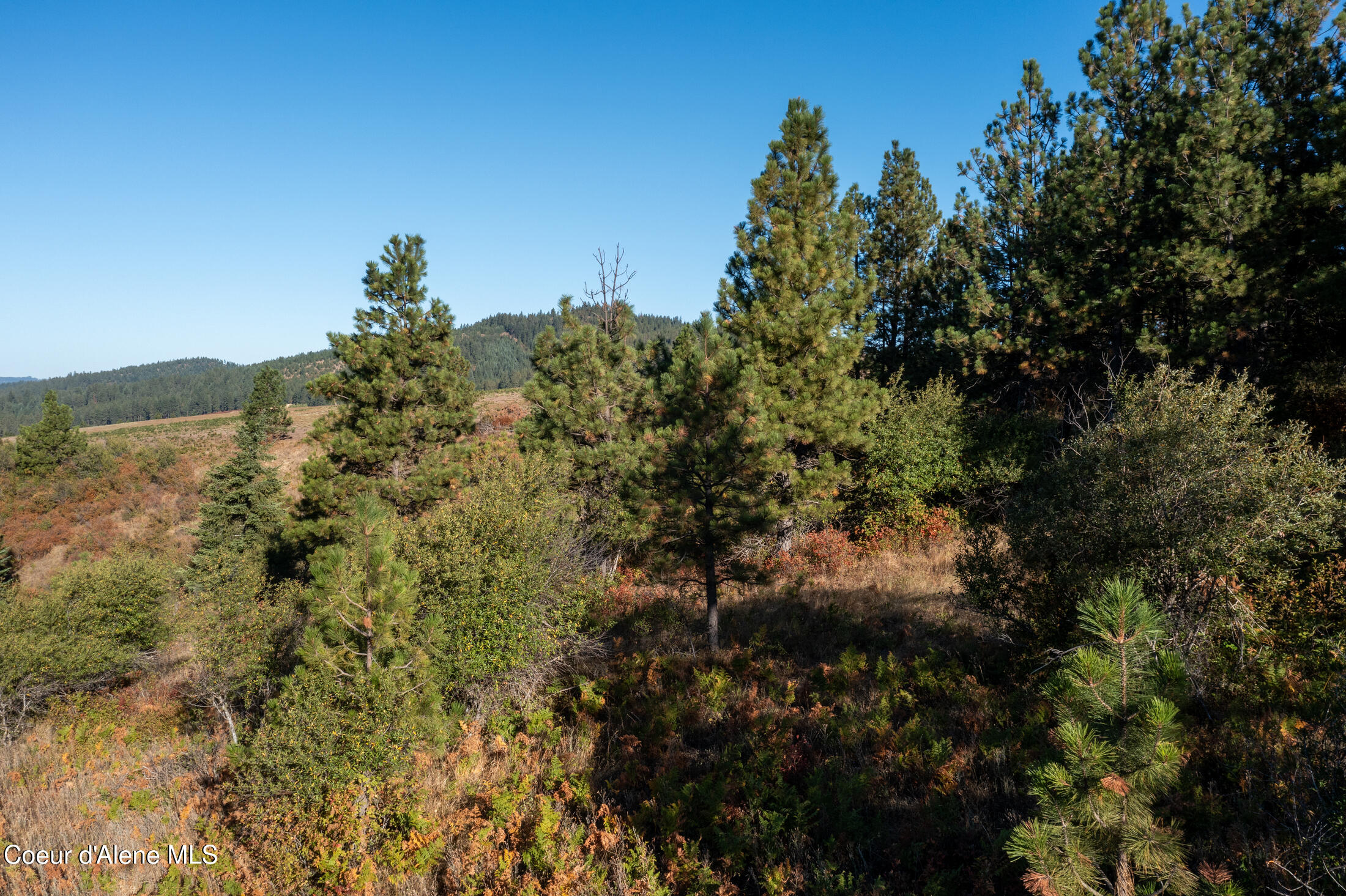 NNA Watt Hill Ln, Plummer, Idaho image 17