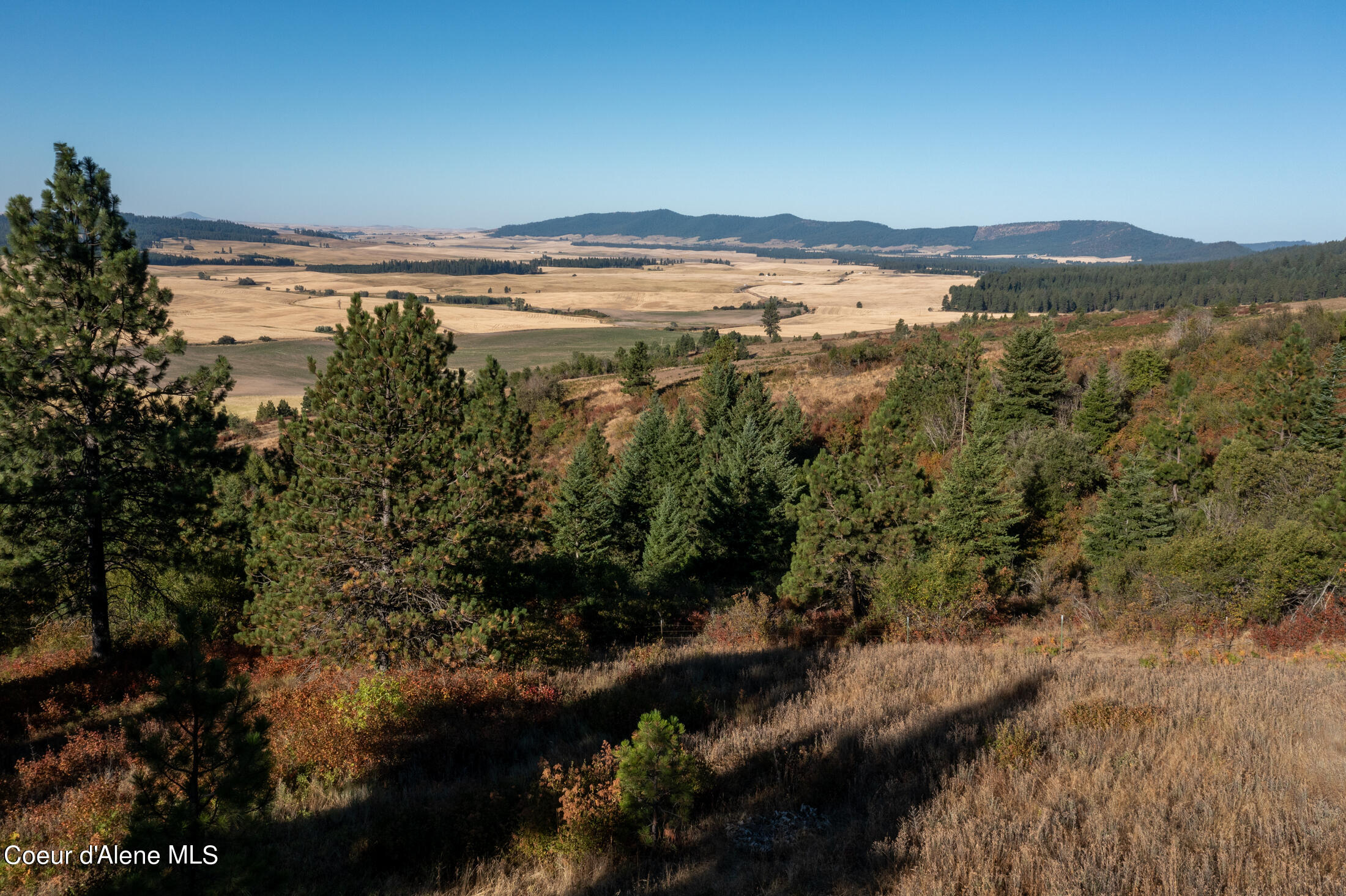 NNA Watt Hill Ln, Plummer, Idaho image 18