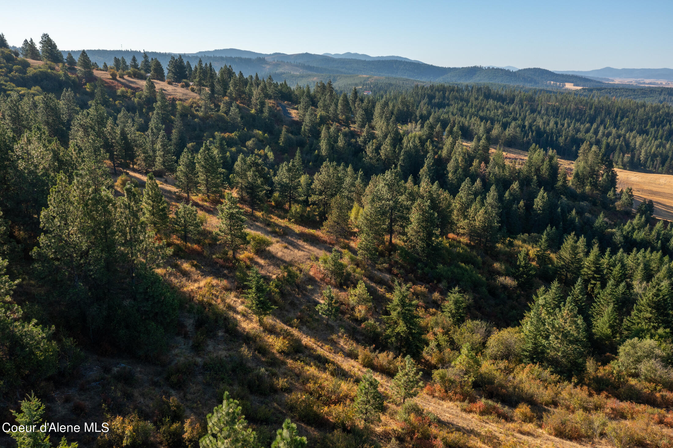 NNA Watt Hill Ln, Plummer, Idaho image 11