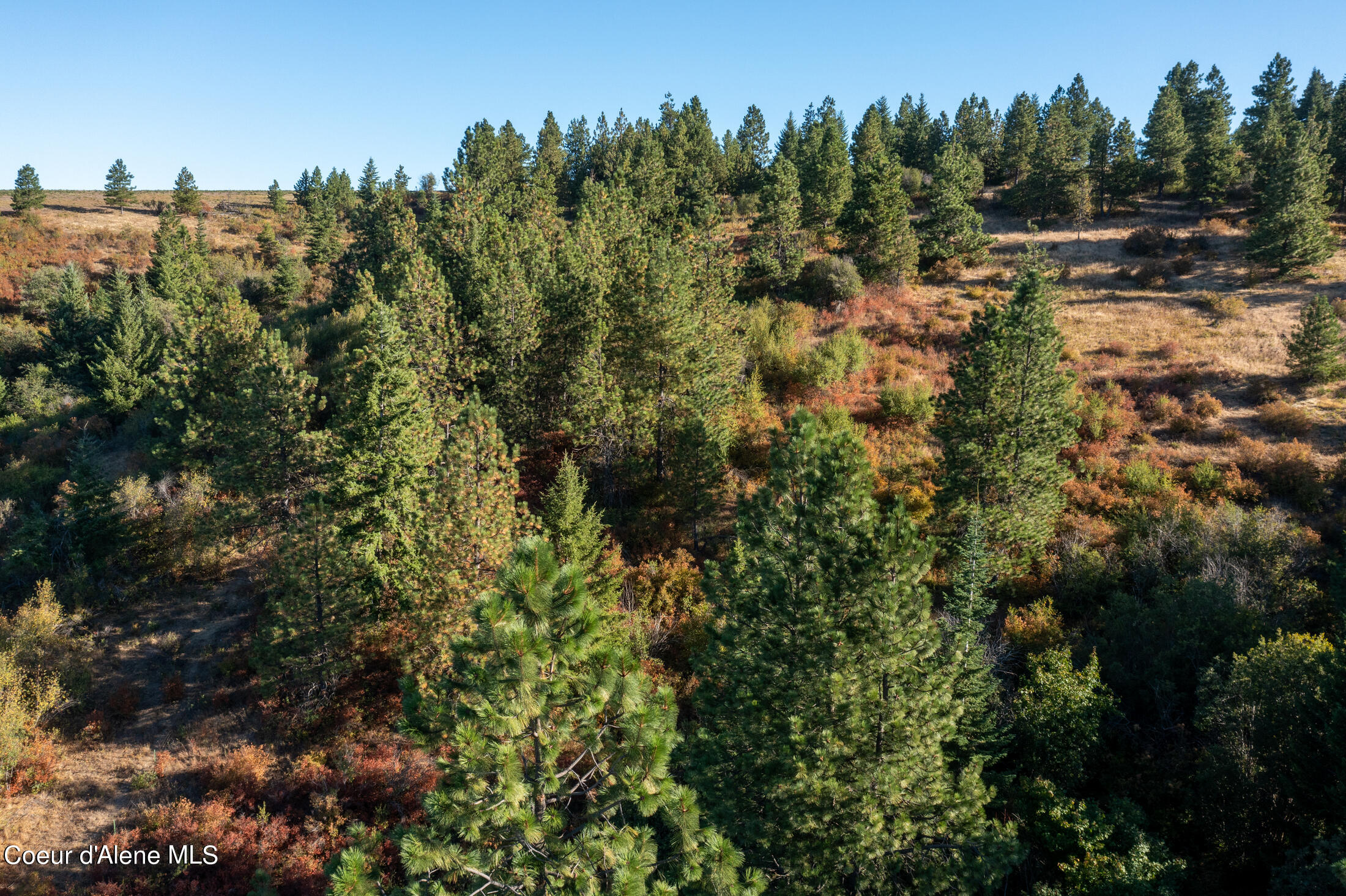 NNA Watt Hill Ln, Plummer, Idaho image 23