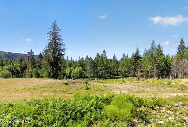 Photo of 197 Schneiders Rd, Sagle, ID 83860 (MLS # 26-7226)