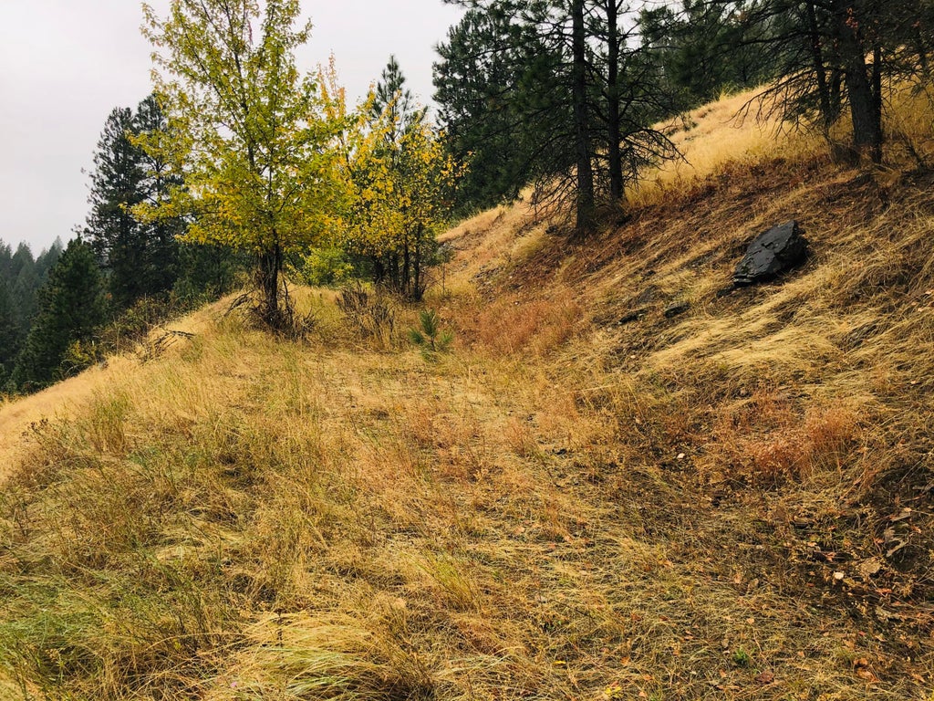 Photo of NKA Round Lake Lake, St. Maries, ID 83861 (MLS # 26-10245)