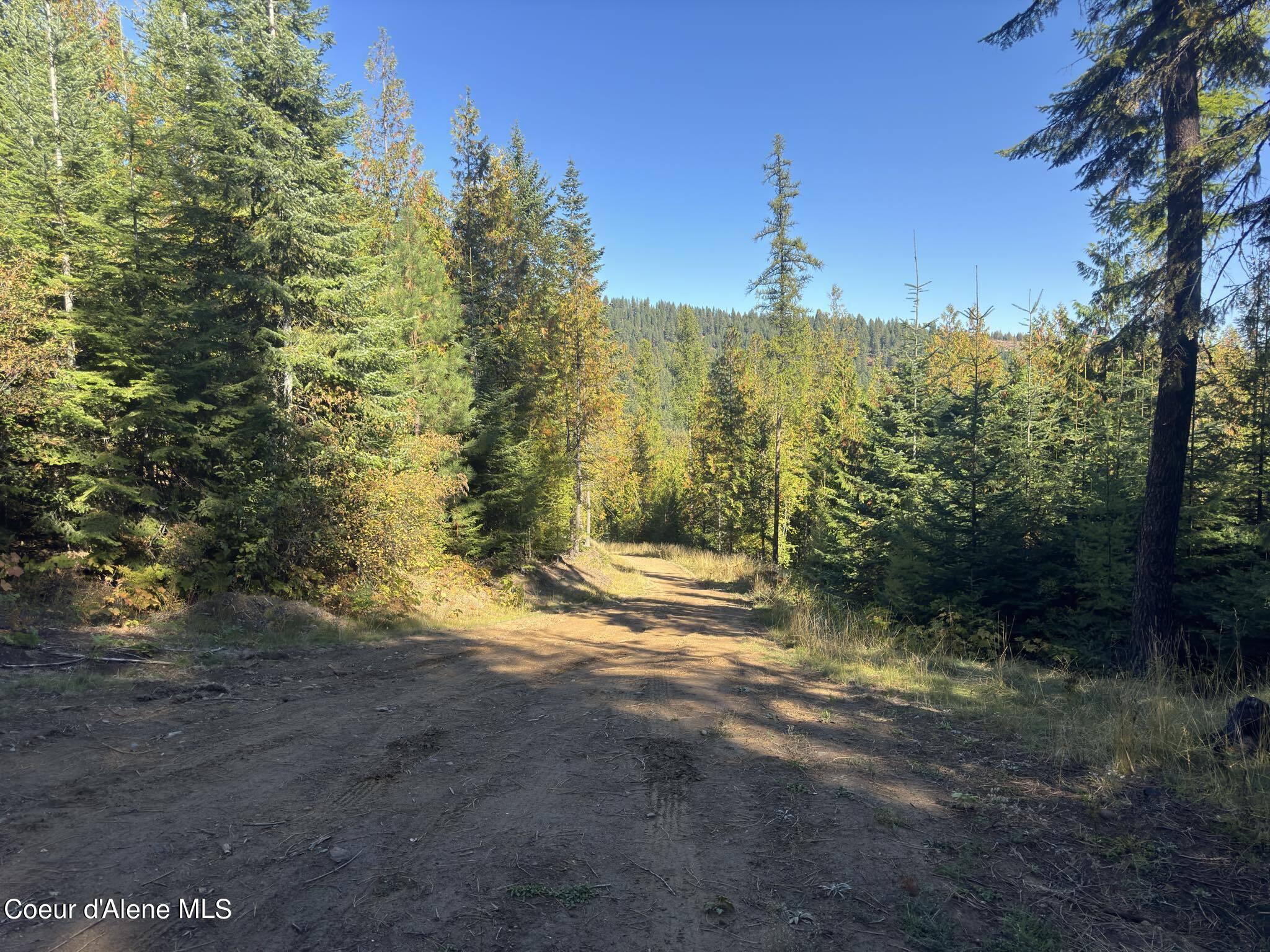 NNA Rustic Way, Lot 9 Drive, Spirit Lake, Idaho image 10