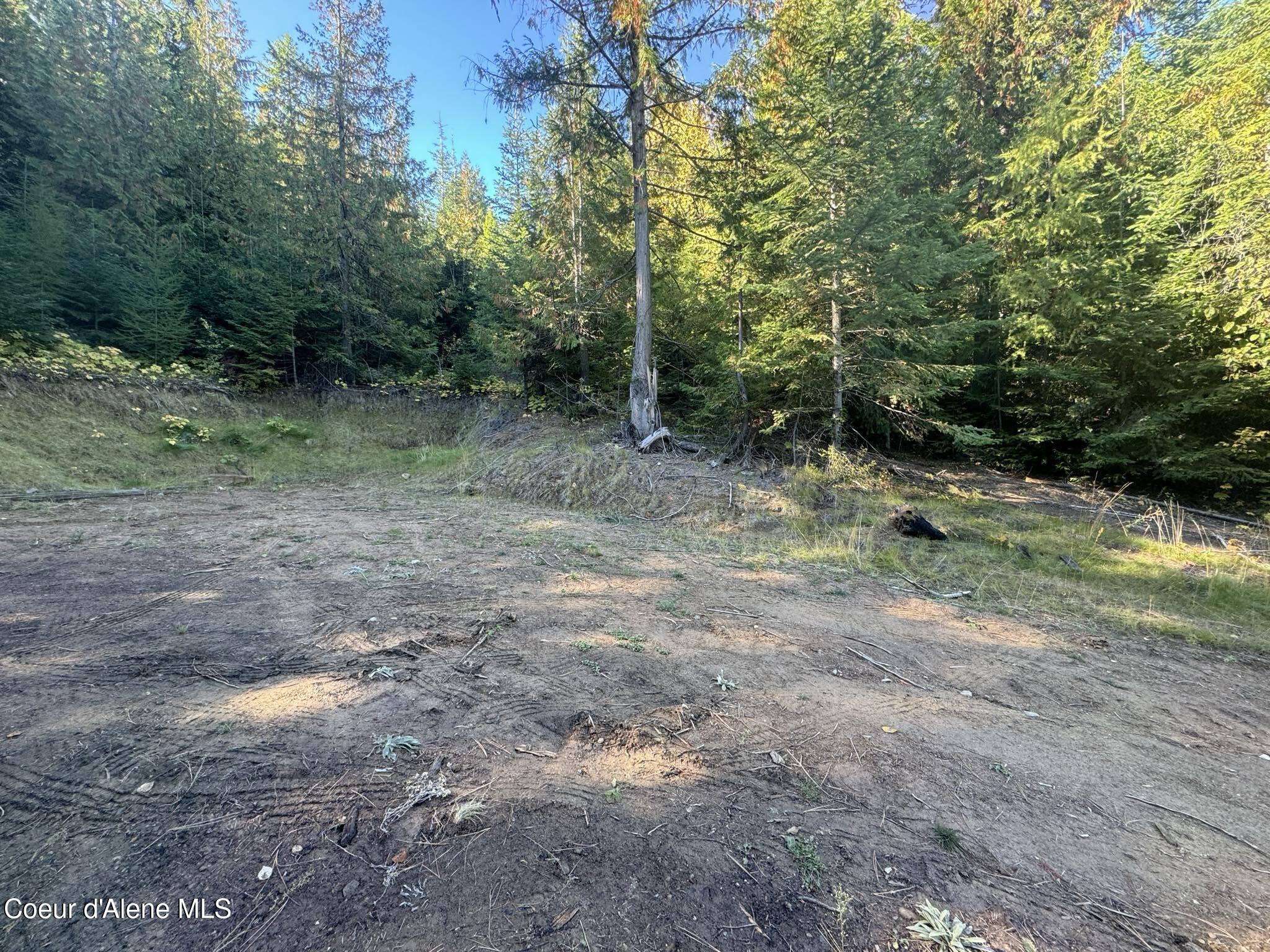 NNA Rustic Way, Lot 9 Drive, Spirit Lake, Idaho image 12