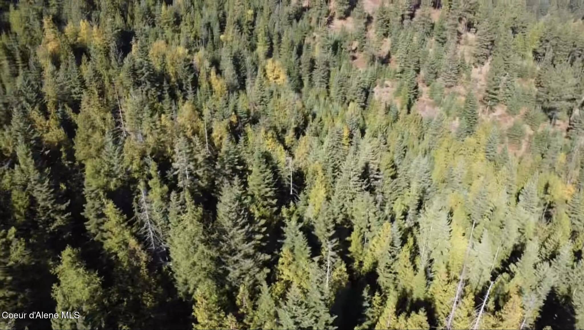 NNA Rustic Way, Lot 9 Drive, Spirit Lake, Idaho image 5