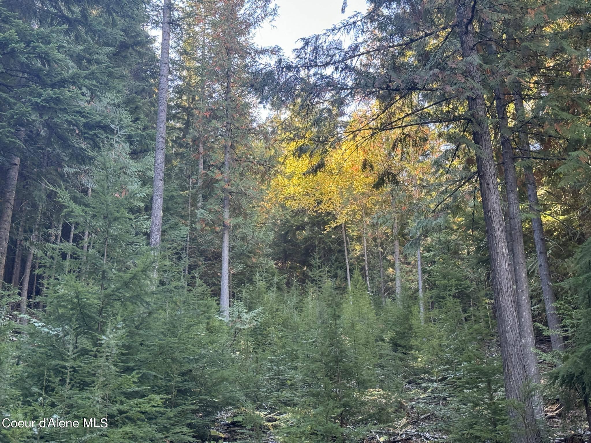 NNA Rustic Way, Lot 9 Drive, Spirit Lake, Idaho image 4