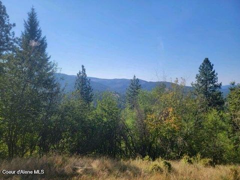 Vacant Land For Sale - NKA Smelterville<br/> Smelterville, ID 83868